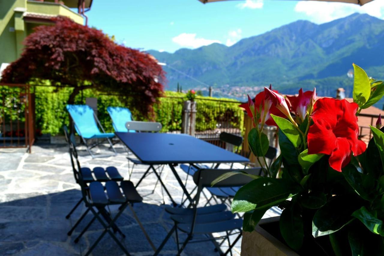 Le Grigne Guesthouse - The Garden Oliveto Lario Ngoại thất bức ảnh