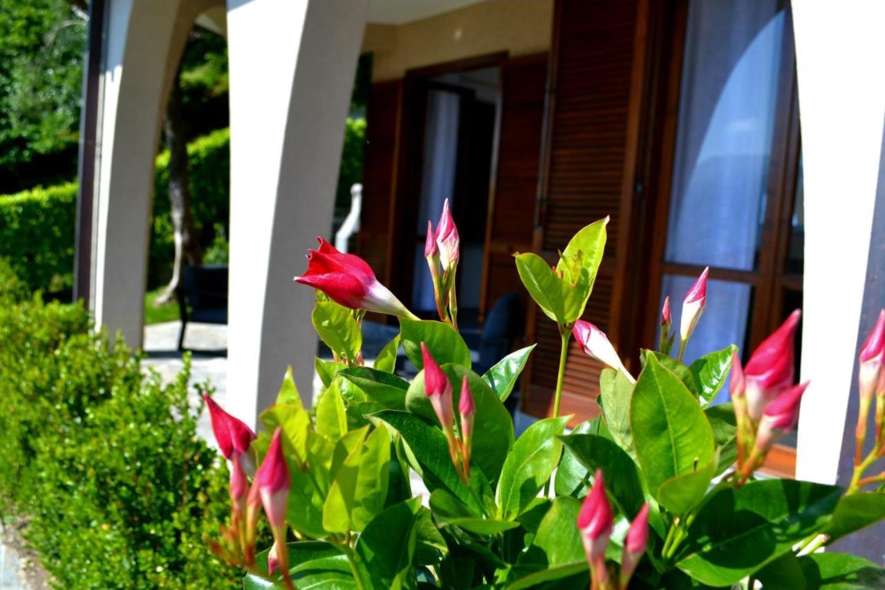 Le Grigne Guesthouse - The Garden Oliveto Lario Ngoại thất bức ảnh